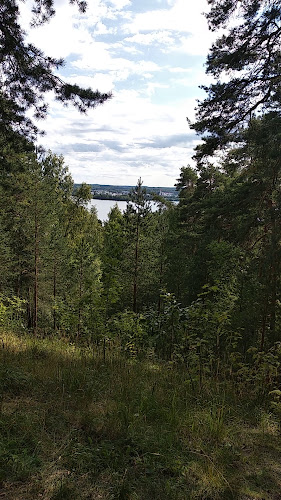 Comentarii opinii despre Pyynikin Munkkikahvila