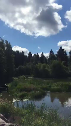 Ravintola Kuninkaan Lohet - Vanha Viilatehdas - Vantaa