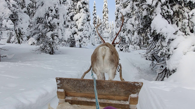 Comentarii opinii despre Lammintupa