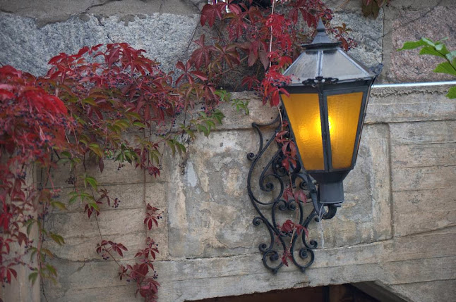 Opinii despre Wanhan Rauman Kellari în Rauma - Ravintola-ala