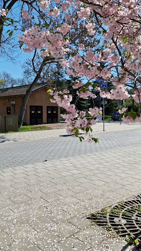 Cafe Kirkkopuisto - Ravintola-ala