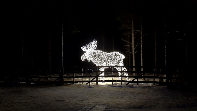 Comentarii opinii despre Ice Restaurant of Arctic Snowhotel