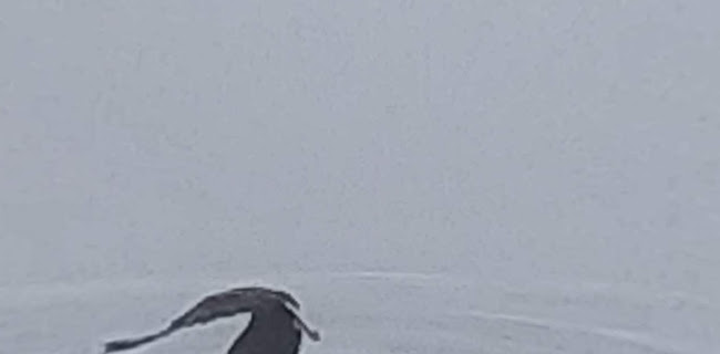 Reviews of Ravintola Röölänranta in Röölä - Ravintola-ala