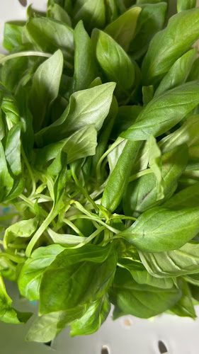 Opinii despre Trattoria La Mia Bella în Eura - Ravintola-ala