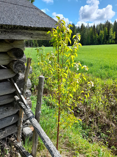 Ruusumuorin Kesäkahvila