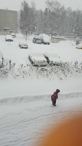 Ravintola Mikkis - Ravintola-ala