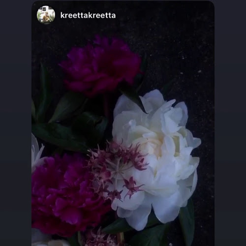 Kukkakauppa Miccishop - Turku