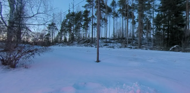 Comentarii opinii despre Villa Koivuranta Oy