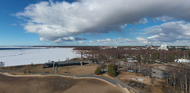 Opinii despre Ravintola Nallikari în Oulu - Ravintola-ala