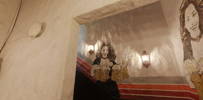 Comentarii opinii despre Pub Olavin Olga