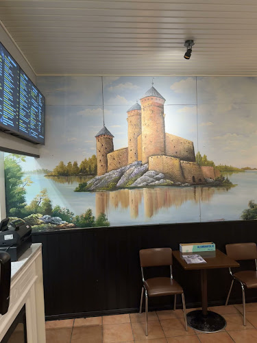 Opinii despre Pizzeria Sahmaran în Savonlinna - Ravintola-ala