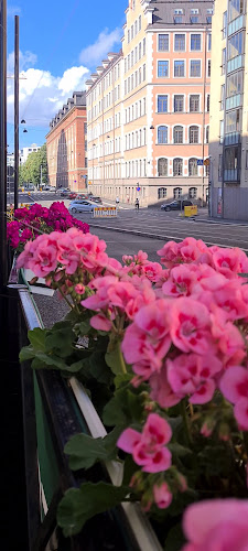 Ravintola Ani - Ravintola-ala