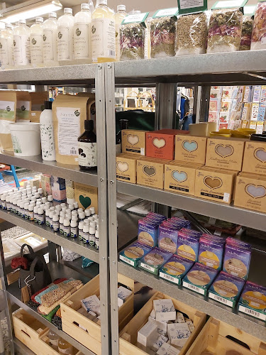 Comentarii opinii despre Taikavakka