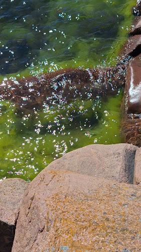 Reviews of Saariravintola Hangon Portti in Hanko - Ravintola-ala