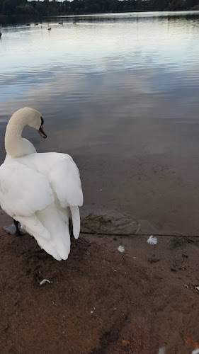 Helsinginkatu 56, 00260 Helsinki