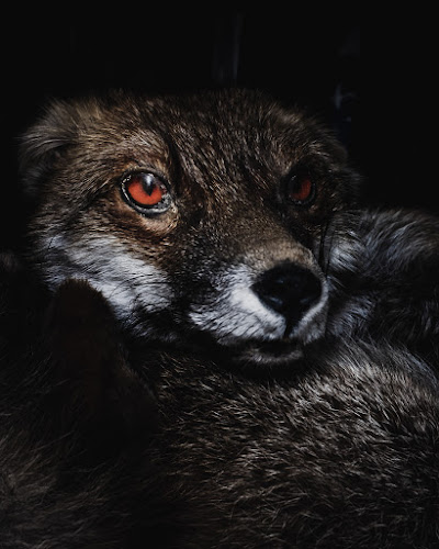 Comentarii opinii despre Trillby & Chadwick