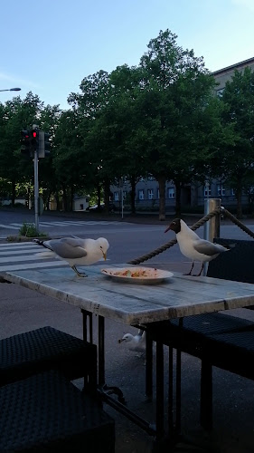 Opinii despre Erkan Bistro & Restaurant în Kotka - Ravintola-ala