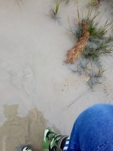 Opinii despre Café & Restaurant Vesilinna în Jyväskylä - Ravintola-ala