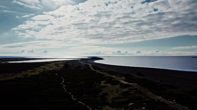 Opinii despre Leipomo Rosten Oy în Turku - Ravintola-ala