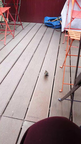 Restaurant and Bakery Levain