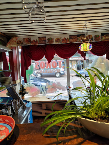 Comentarii opinii despre Toros