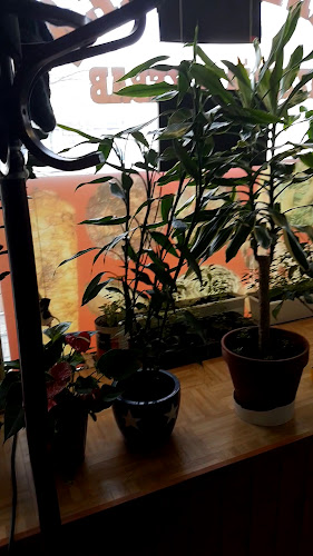 Kauppakatu 10, 44100 Äänekoski