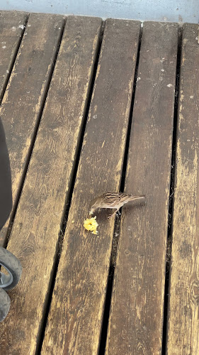 Sapokankatu 3, 48100 Kotka