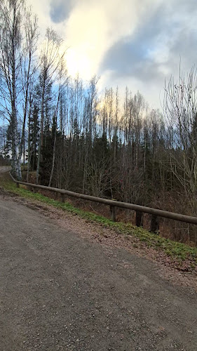 Comentarii opinii despre Otamuskahvila