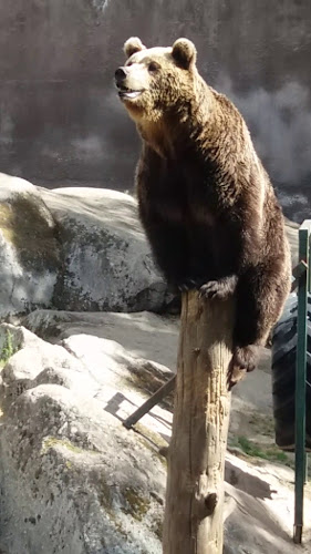 Kaakkolampi Cafe - Inha