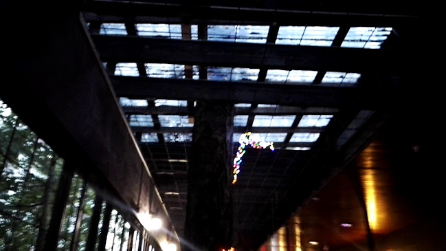 Opinii despre Ravintola Buccis în Vantaa - Ravintola-ala