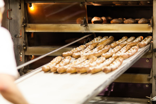 Comentarii opinii despre Rezé Oy