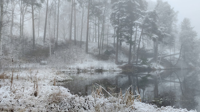 Opinii despre Kartanokahvila Mielihyvin în Tampere - Ravintola-ala