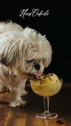 Liisankatu 3, 00170 Helsinki