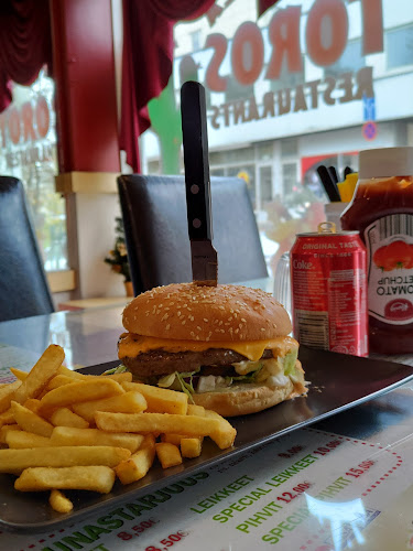 Comentarii opinii despre Toros