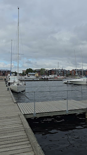 Comentarii opinii despre Sataman Loiste