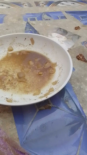 Sinisen Huvilan Kahvila - Ravintola-ala