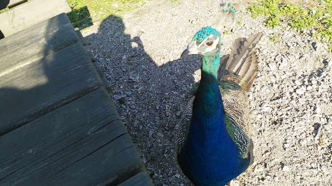 Mustikkamaanpolku 12, 00570 Helsinki