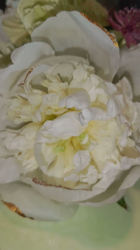 Kakkuvelhotar - Sauvo