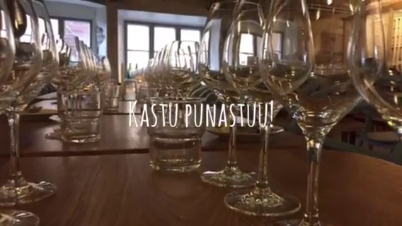 Reviews of Ravintola Kastu in Salo - Ravintola-ala
