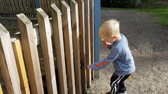 Opinii despre Kymen Paviljonki în Kouvola - Ravintola-ala