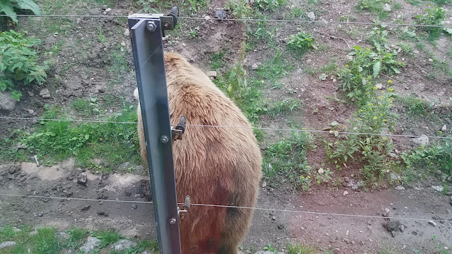 Ravintola Karhu - Helsinki