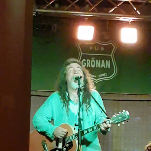 Pub Grönan - Ravintola-ala