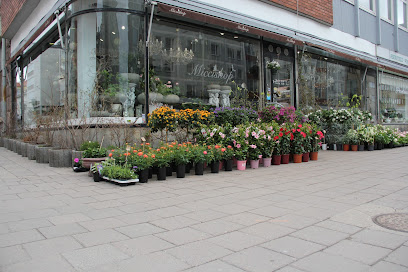 Kukkakauppa Miccishop