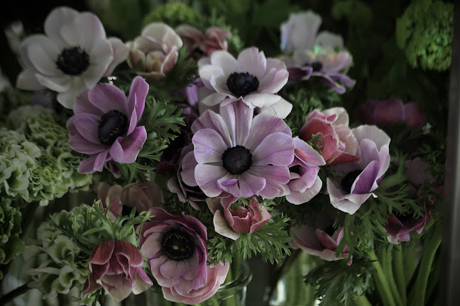 Comentarii opinii despre Kukkakauppa Miccishop