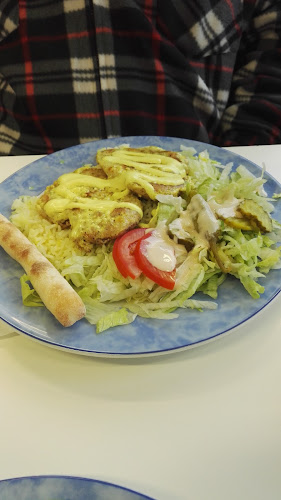 Comentarii opinii despre Mega Pizza Kebab