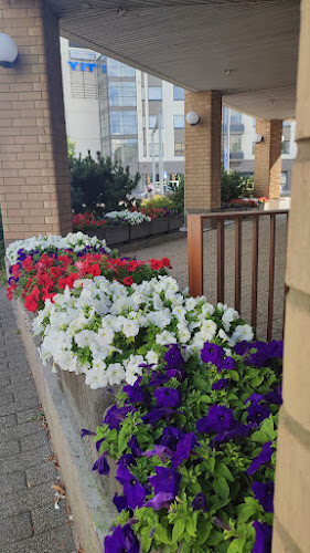 Helmi II - Ravintola-ala