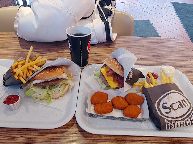 Comentarii opinii despre Scanburger