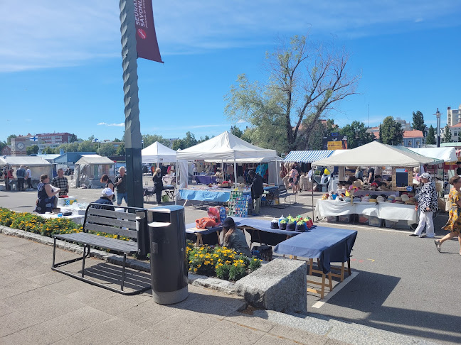 Kauppatori, 57130 Savonlinna