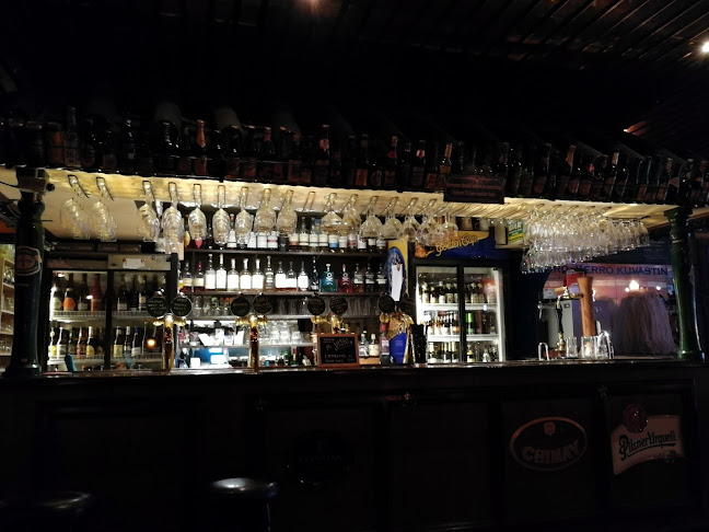 Comentarii opinii despre Olutravintola Birger