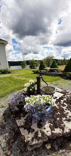 Comentarii opinii despre Haapaniemen Pidot Ky